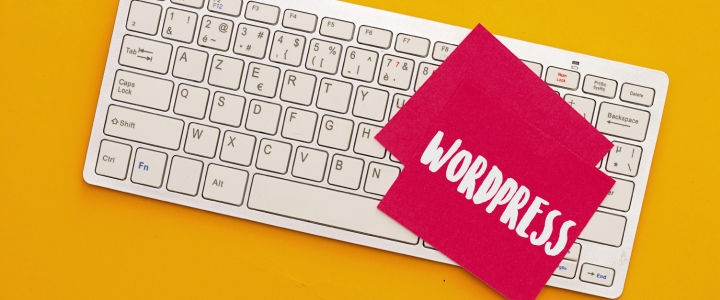 melhores plugins para wordpress